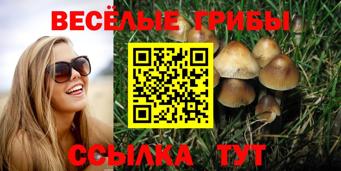 Псилоцибиновые грибы Psilocybine cubensis Зерноград