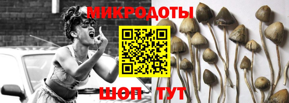 Зерноград  Псилоцибиновые грибы Psilocybe  Вход с VPN  Псилоцибиновые грибы Cubensis 